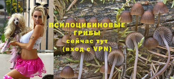 jwh Алзамай