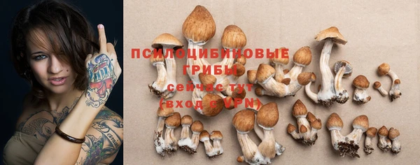 jwh Алзамай