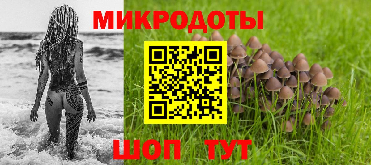 Галлюциногенные грибы Psilocybine cubensis Кулебаки